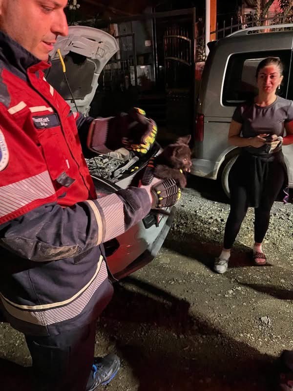 Arsuz’da aracın motoruna sıkışan kedi kurtarıldı (Fotoğraflı) İlayda Korkmaz HATAY (İHA) - Hatay'da aracın motor kısmına sıkışarak mahsur kalan kediyi itfaiye kurtardı. Arsuz ilçesi Çetillik Mahallesi’nde aracının motor kısmından gelen sesleri fark eden vatandaş durumu itfaiye ekiplerine bildirdi. İhbar üzerine bölgeye ekipler sevk edildi. Ekiplerin çalışması sonucunda yavru kedi bulunduğu yerden sağ olarak kurtarıldı. Kurtarılan yavru kedi, yapılan çalışmanın ardından annesine kavuşturuldu.