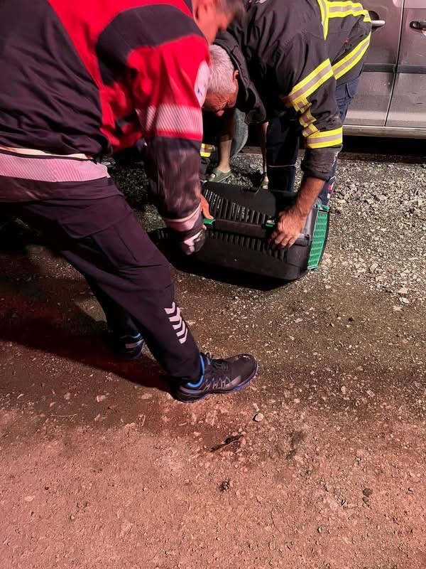 Arsuz’da aracın motoruna sıkışan kedi kurtarıldı (Fotoğraflı) İlayda Korkmaz HATAY (İHA) - Hatay'da aracın motor kısmına sıkışarak mahsur kalan kediyi itfaiye kurtardı. Arsuz ilçesi Çetillik Mahallesi’nde aracının motor kısmından gelen sesleri fark eden vatandaş durumu itfaiye ekiplerine bildirdi. İhbar üzerine bölgeye ekipler sevk edildi. Ekiplerin çalışması sonucunda yavru kedi bulunduğu yerden sağ olarak kurtarıldı. Kurtarılan yavru kedi, yapılan çalışmanın ardından annesine kavuşturuldu.