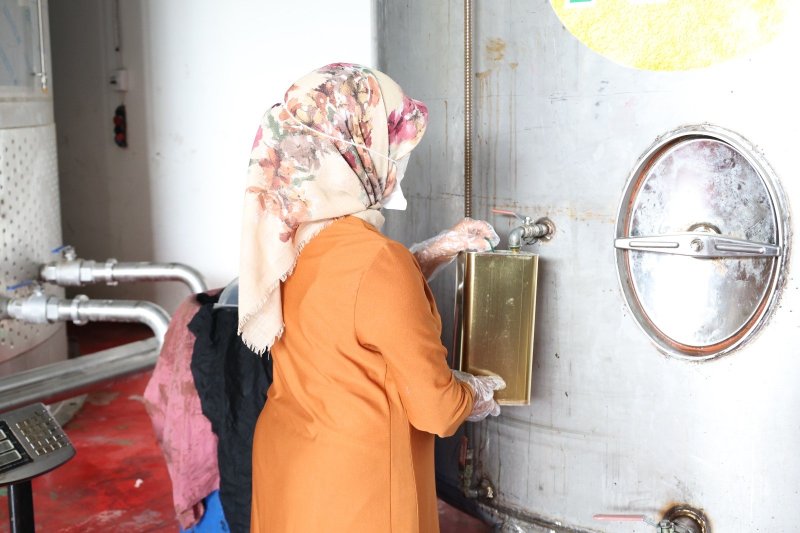 HBB’den zeytin üreticilerine mesleki eğitim desteği
