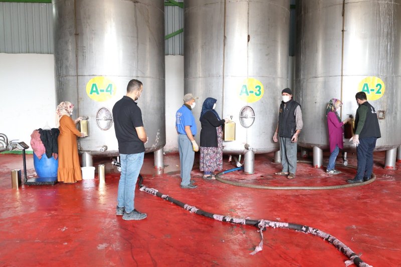 HBB’den zeytin üreticilerine mesleki eğitim desteği