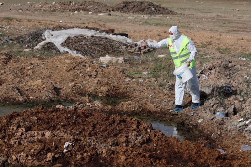Hatay’da şap hastalığına karşı karasinek mücadelesi sürüyor