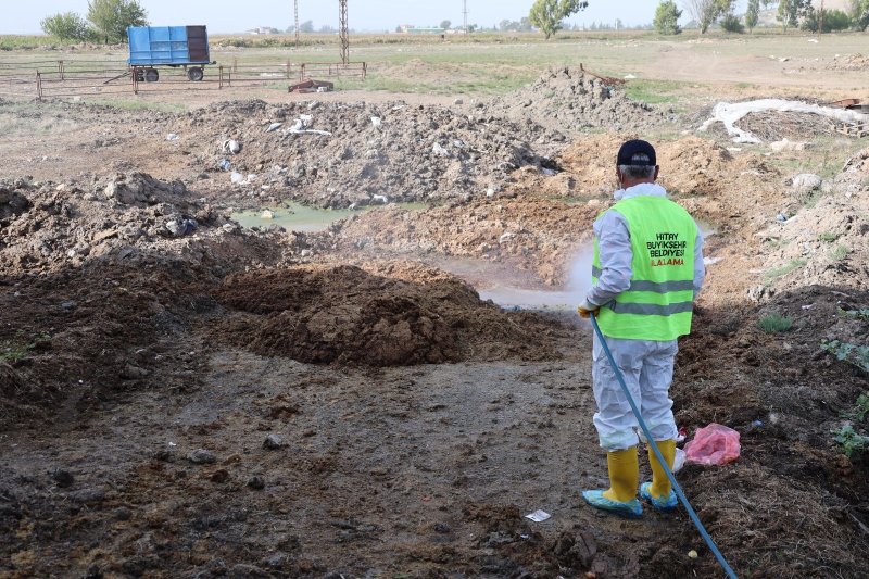 Hatay’da şap hastalığına karşı karasinek mücadelesi sürüyor