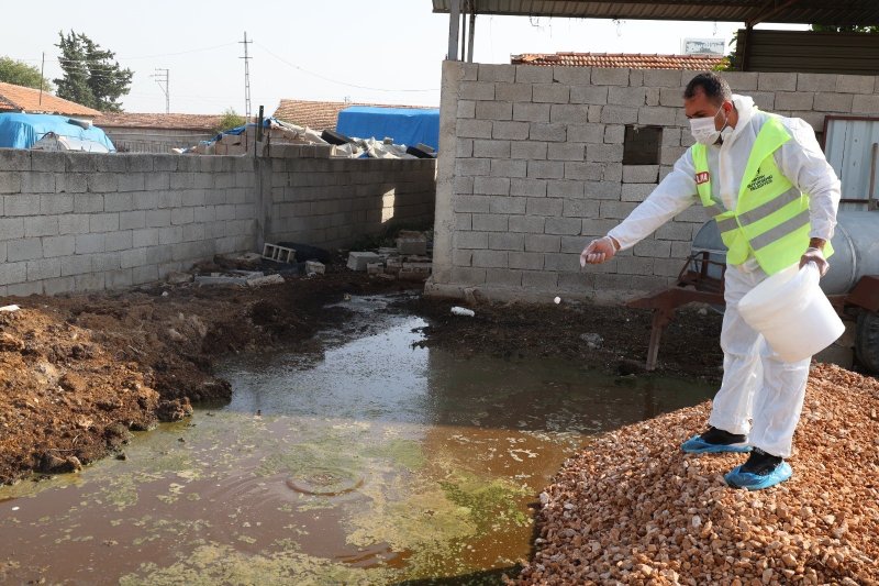 Hatay’da şap hastalığına karşı karasinek mücadelesi sürüyor