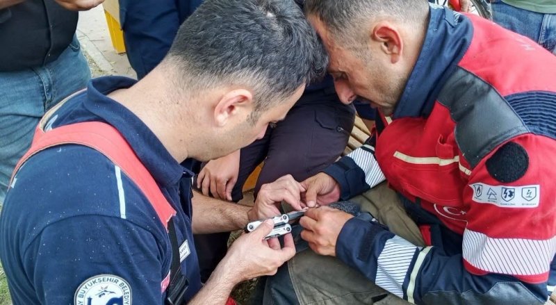 İskenderun'da ağaca takılan güvercin itfaiye ekiplerince kurtarıldı (Fotoğraflı) İlayda Korkmaz HATAY (İHA) - Hatay'ın İskenderun ilçesinde balık misinasına dolanarak ağaçta mahsur kalan güvercin, Hatay Büyükşehir Belediyesi itfaiye ekiplerinin çalışmasıyla kurtarıldı. Olay, İskenderun ilçesindeki Atatürk Parkı'nda meydana geldi. Balık misinasına dolanan güvercinin ağaçta mahsur kaldığı fark edilince durum ekiplere bildirildi. Bölgeye gelen Hatay Büyükşehir Belediyesi itfaiye ekipleri, yürüttükleri çalışma sonucunda güvercinin ayağına dolanan misinayı çıkardı. Sağlık durumu iyi olduğu belirtilen güvercin, kurtarılarak yeniden özgürlüğüne kavuştu.