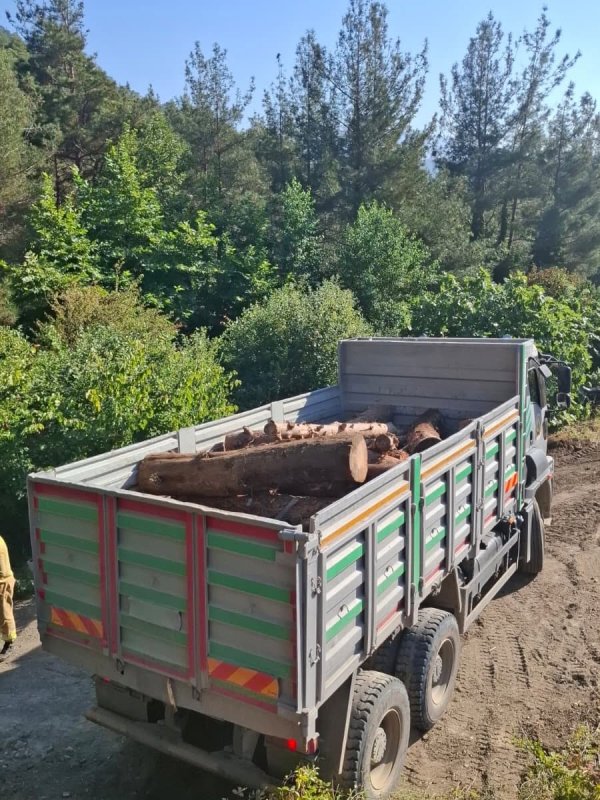 Hatay’da ormanlık alanda kaçak kesim yapanlar yakalandı 