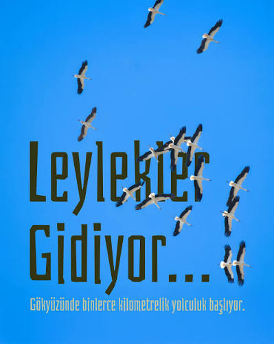 Hatay'da Leyleklerin Görsel Şöleni Gökyüzünü kaplayan yüzlerce leyleğin göç yolculuğu HATAY (İHA) - Hatay'da gökyüzünü kaplayan yüzlerce leyleğin yerleşim yerlerinin üzerinde evlere yakın bir noktada gerçekleştirdikleri göç yolcukları görsel şölen oluşturdu. Türkiye'nin en güneyinde yer alan Hatay göçmen kuşların uğrak noktaları arasında. Geçtiğimiz günlerde göç yolunda olan yüzlerce leylek, Arsuz ilçesi Karaağaç Mahallesi'nde yerleşim yerlerinin üzerinde vatandaşlar tarafından görüldü. Kaynak Linki = https://www.hatayinternettv.com/haber/gokyuzunu-kaplayan-yuzlerce-leylegin-goc-yolculugu-928555