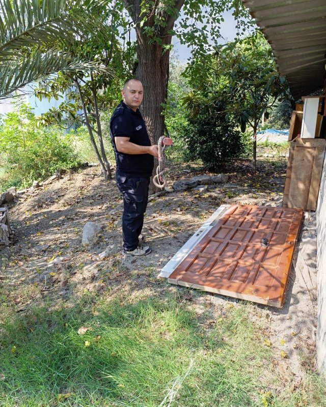  İskenderun’da eve giren yılanı itfaiye ekipleri yakaladı