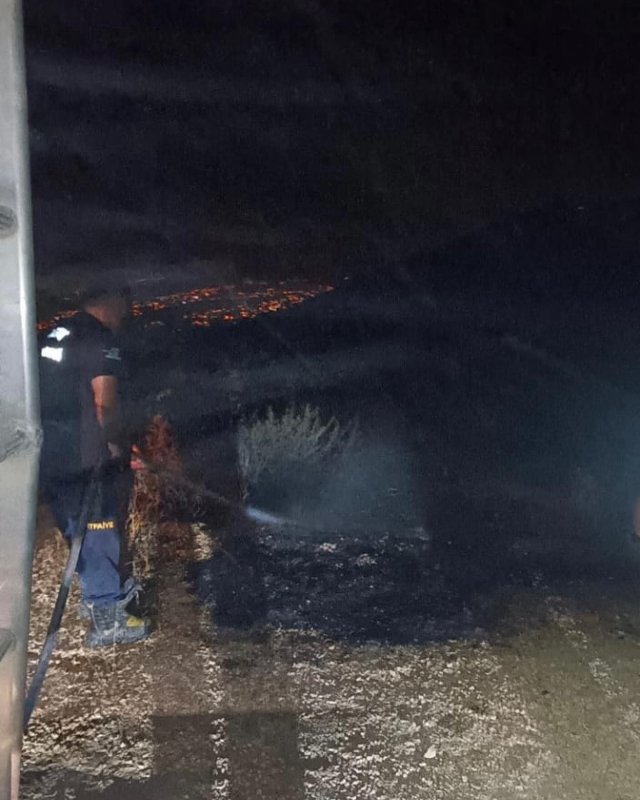 Defne’de otluk alan yangını