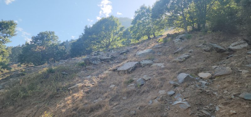 Yayla yolunda feci kaza: 1 ölü, 1 yaralı