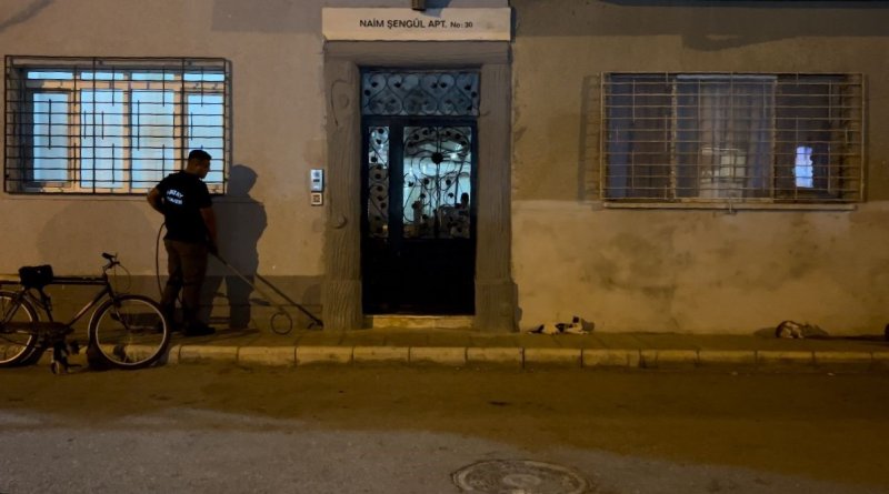 Kedi üzerinde koli bandıyla kaçtı, itfaiye yardım için kovaladı