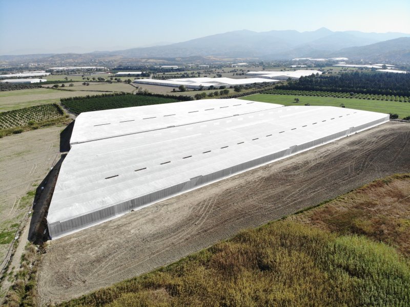 Afetzede kardeşler deprem bölgesinde 120 dönüm serada muz üretiyor