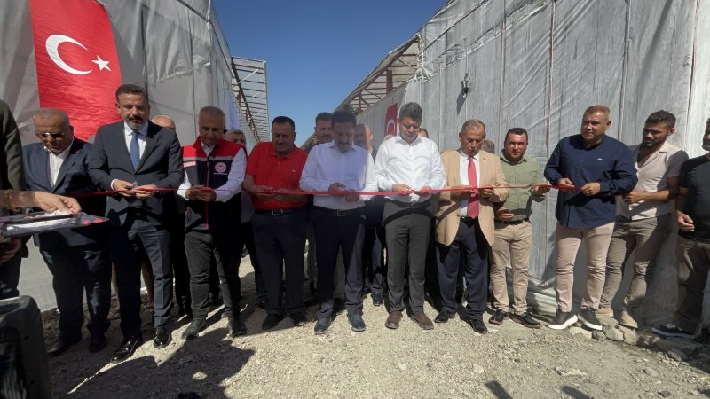 Afetzede kardeşler deprem bölgesinde 120 dönüm serada muz üretiyor