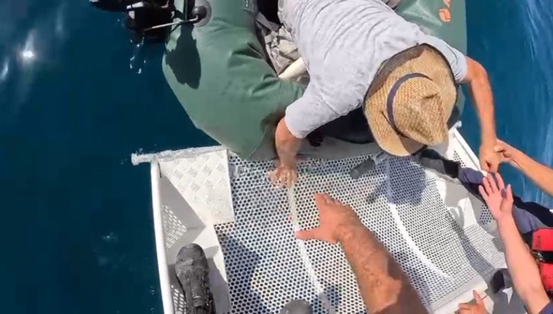 Akdeniz'de botu su alan balıkçıyı Sahil Güvenlik ekipleri kurtardı