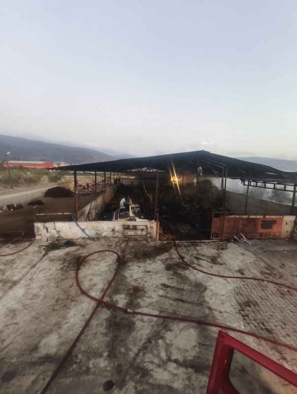 Antakya’da samanlık yangını