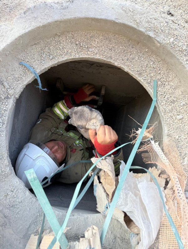 Antakya'da 5 metrelik kuyuya düşen yavru köpek kurtarıldı