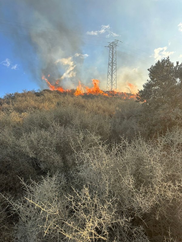 Samandağ'da arazi yangını