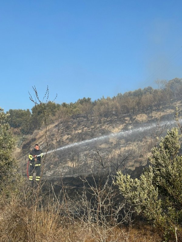 Samandağ'da arazi yangını
