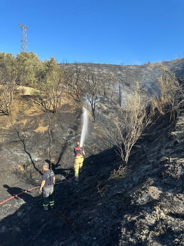 Samandağ'da arazi yangını