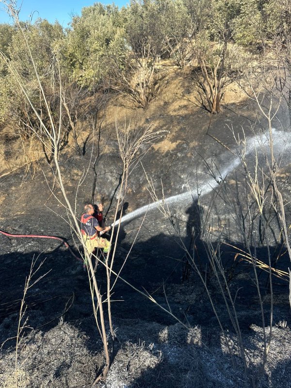 Samandağ'da arazi yangını