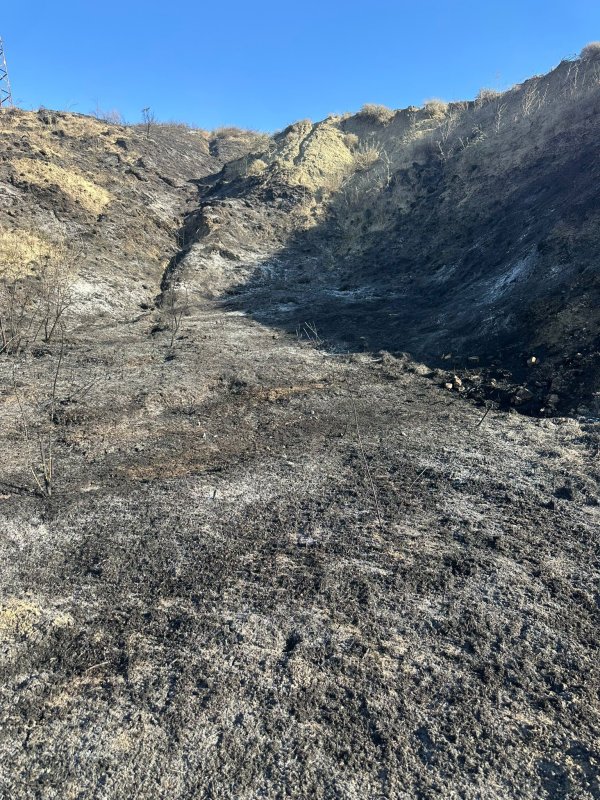 Samandağ'da arazi yangını