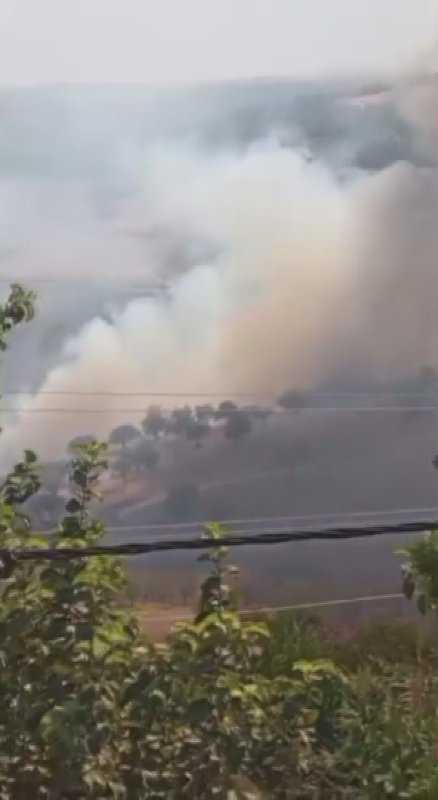 Hatay'da zeytinlik alanda çıkan yangın büyümeden söndürüldü