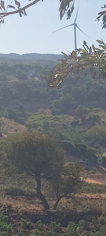 Hatay'da zeytinlik alanda çıkan yangın büyümeden söndürüldü