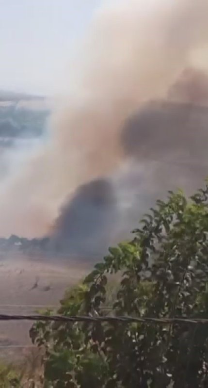 Hatay'da zeytinlik alanda çıkan yangın büyümeden söndürüldü