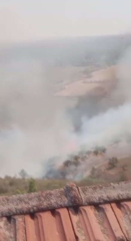 Hatay'da zeytinlik alanda çıkan yangın büyümeden söndürüldü
