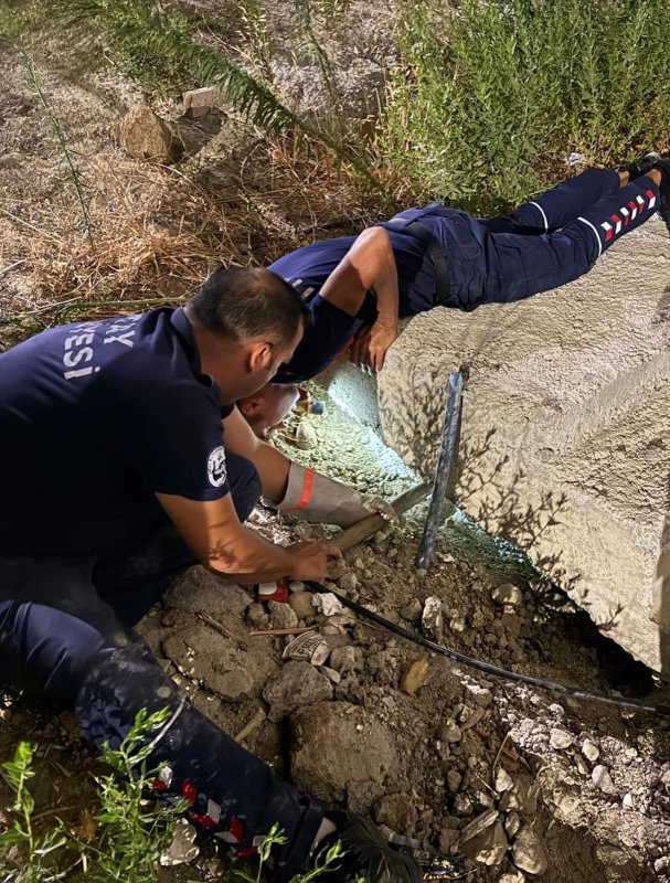 Antakya’da beton boru içinde sıkışan kedi kurtarıldı