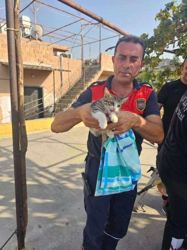 Apartman boşluğuna düşen kedi zorlu operasyonla kurtarıldı (Fotoğraflı) Ogün Aslan HATAY (İHA) - Hatay'da apartman boşluğunda mahsur kalan yavru kedi, itfaiye ekiplerinin çalışmasıyla kurtarıldı. Edinilen bilgiye göre, ilçeye bağlı Gültepe Mahallesi'nde bir apartmanın boşluğunda yavru kedinin mahsur kaldığını fark eden vatandaşlar, durumu itfaiyeye bildirdi. Olay yerine gelen Hatay Büyükşehir Belediyesi İskenderun İtfaiye Müdürlüğü ekipleri, kısa sürede çalışma başlatarak kediyi sıkıştığı yerden çıkardı. Sağlık durumunun iyi olduğu öğrenilen yavru kedi, bulunduğu bölgede doğal yaşam alanına bırakıldı.