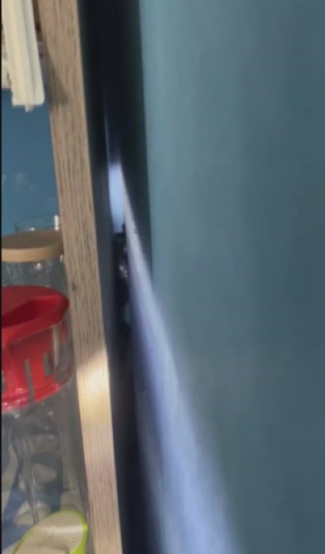 Marketin soğutma dolabına giren yılanı, itfaiye yakaladı