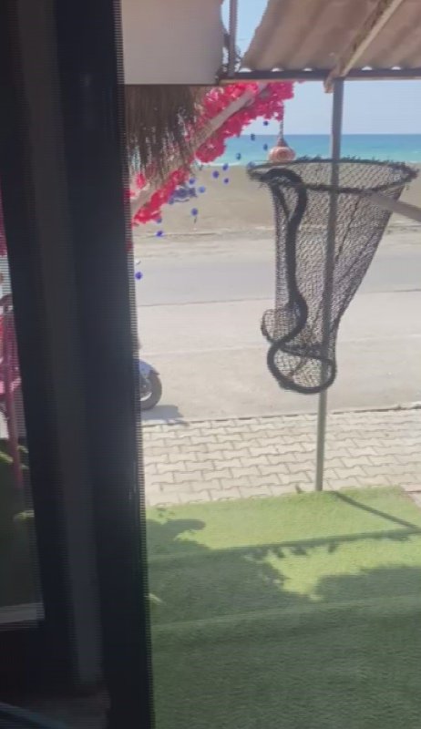 Marketin soğutma dolabına giren yılanı, itfaiye yakaladı