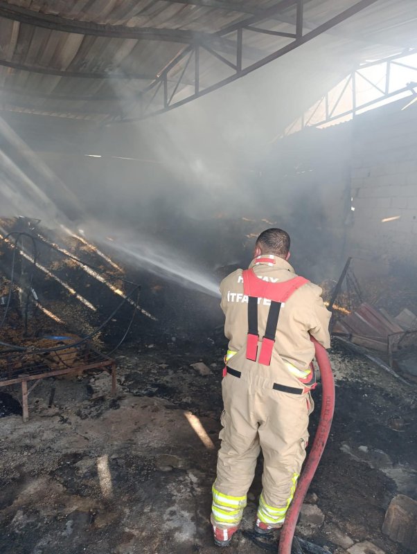 Reyhanlı’da samanlık yangını (Fotoğraflı) Ahmet Arslan HATAY (İHA) - Hatay'da samanlıkta çıkan yangın ahıra sıçramadan itfaiye tarafından söndürüldü. Yangın, Reyhanlı ilçesi Beşaslan Mahallesi’nde bulunan bir ahırın samanlığında yaşandı. İhbar üzerine bölgeye itfaiye ekibi sevk edildi. Hatay Büyükşehir Belediyesi itfaiye ekipleri, hızlı müdahaleyle alevleri büyümeden kısa sürede kontrol altına alındı. Yangında saman balyaları zarar gördü.