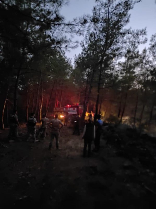 Yayladağı’nda örtü yangını