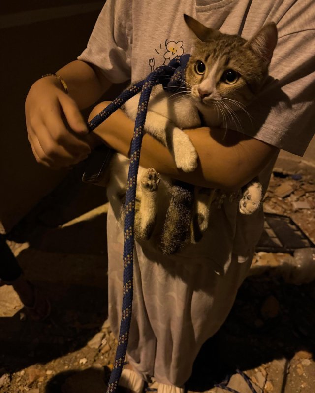 Kuyuya düşen kediyi itfaiye kurtardı