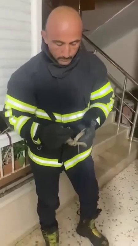 Buzdolabının altına saklanan yılanı itfaiye yakaladı