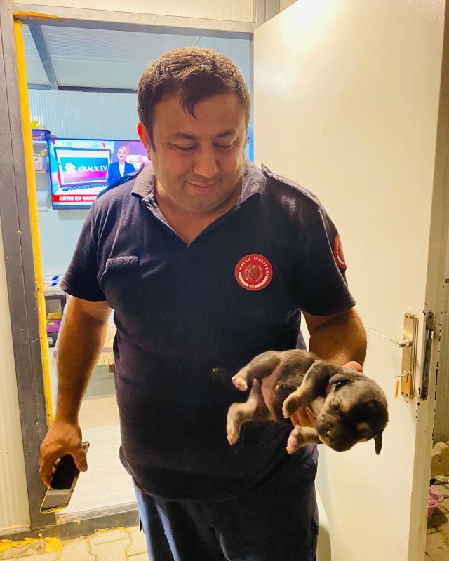 Konteynerin altına sıkışan köpekleri itfaiye kurtardı