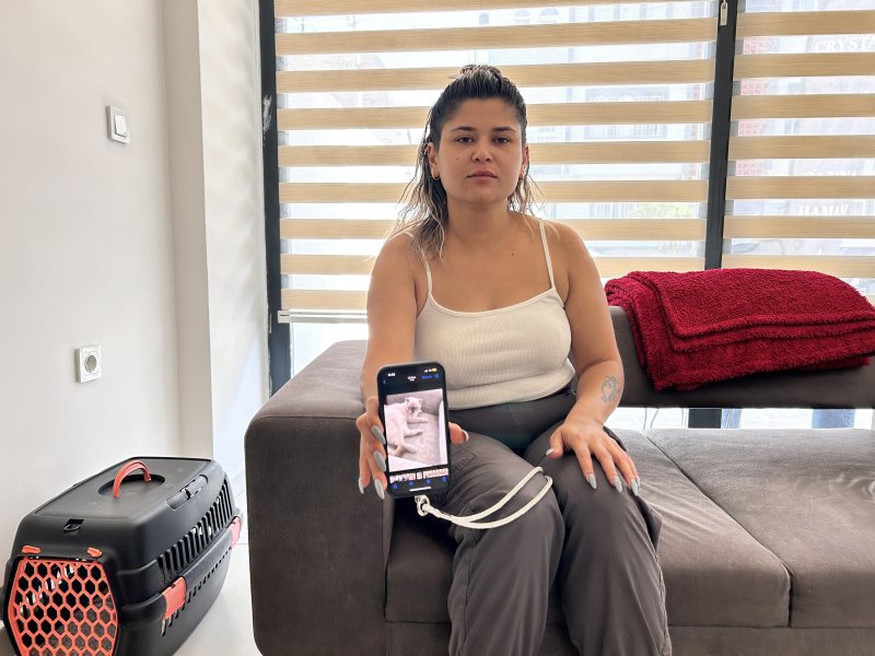 15 gündür beslediği Pamuk'u bulana ödül verecek