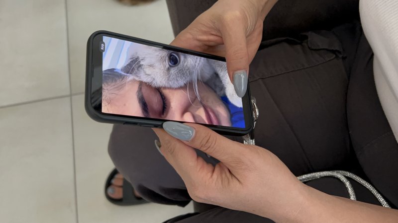 15 gündür beslediği Pamuk'u bulana ödül verecek