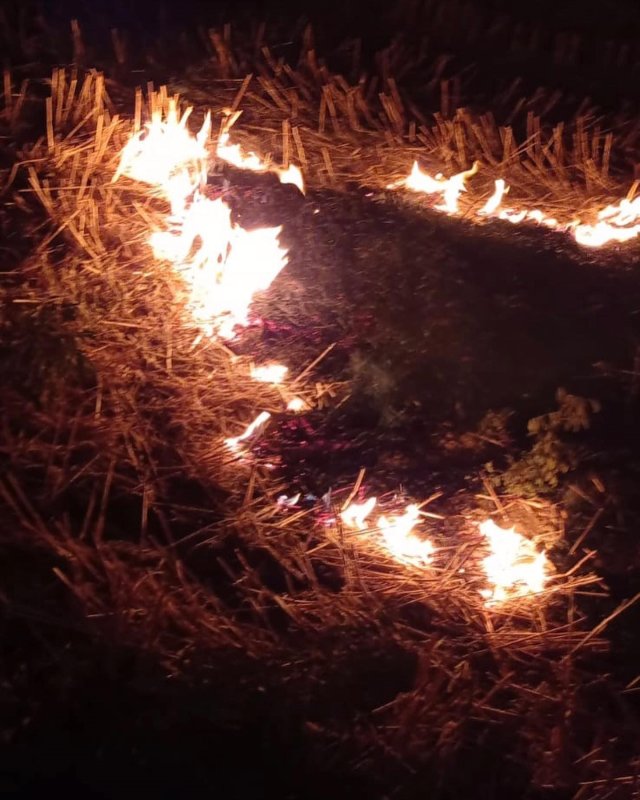 Altınözü’de anız yangını