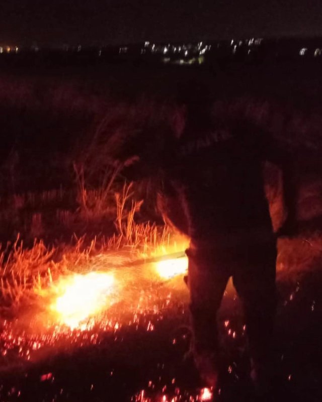 Altınözü’de anız yangını