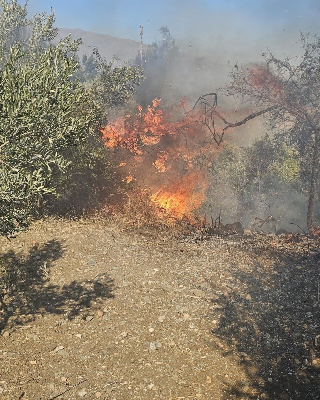 Antakya’da bahçe yangını