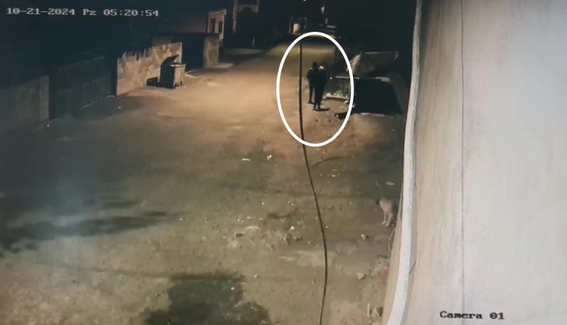 Hatay'da çalınan 22 koyunu polis ekipleri buldu