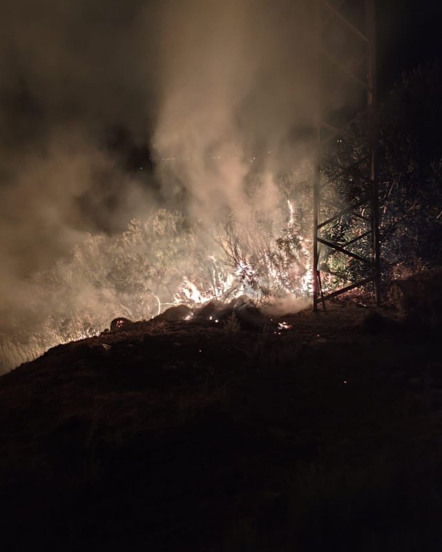 Antakya’da ormanlık alanda yangın