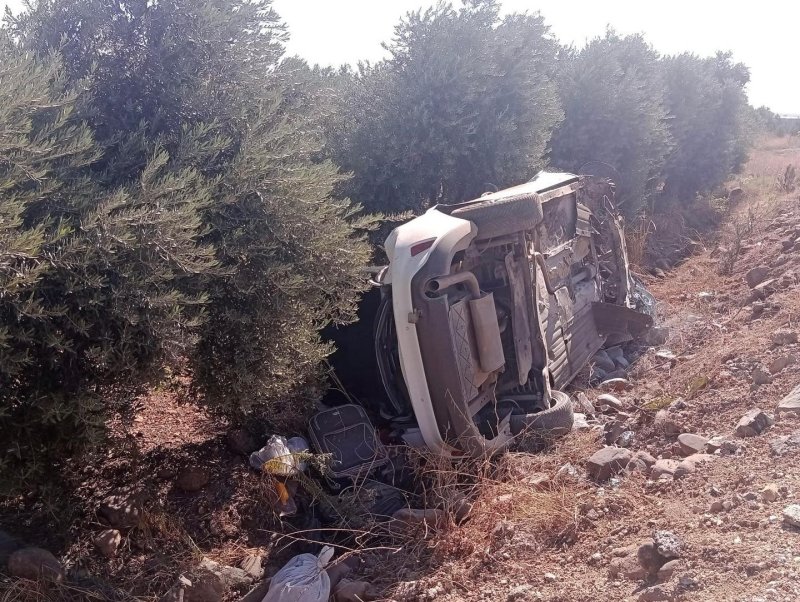 Zeytin bahçesine uçan otomobildeki 5 kişi yaralandı