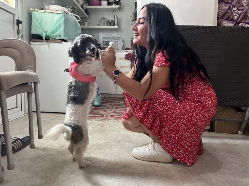 Aylardır sahibine ulaşılamayan Şila'nın yeni yuvası depremzede ailenin konteyneri oldu