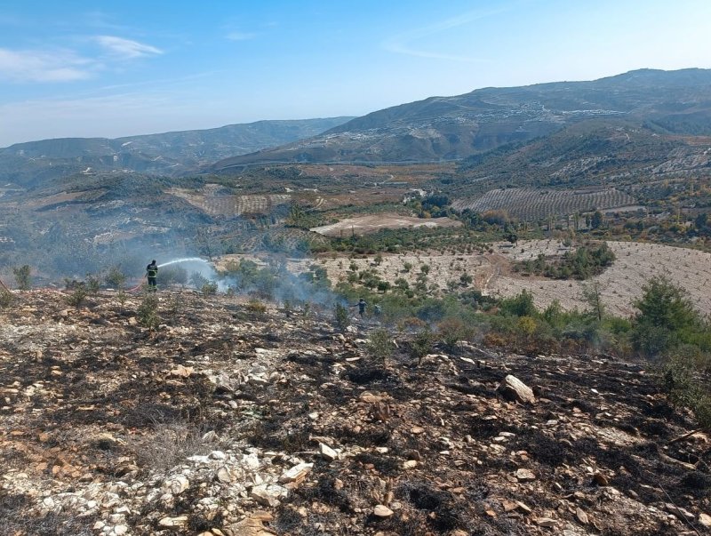 Yayladağı’nda zeytinlik yangını