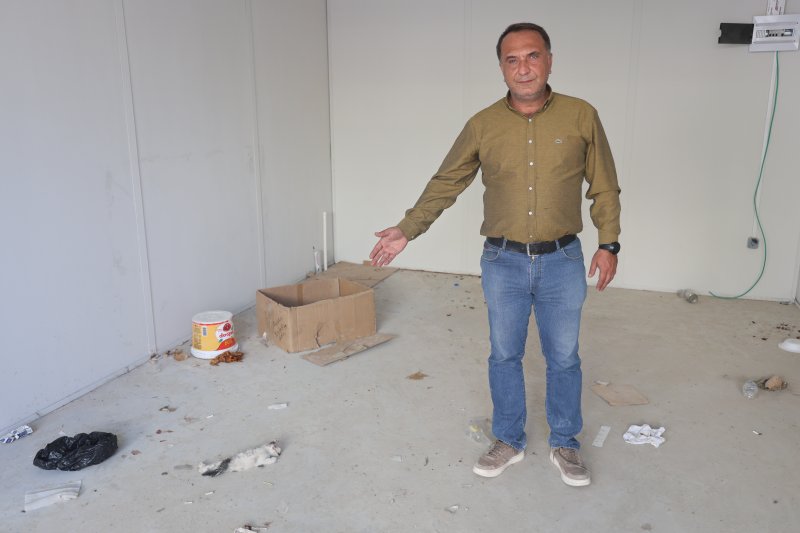 Akılalmaz olay: İş yerinin kapısını açıp kedileri köpeklere parçalattı