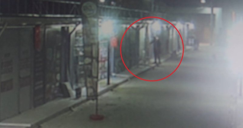 Akılalmaz olay: İş yerinin kapısını açıp kedileri köpeklere parçalattı