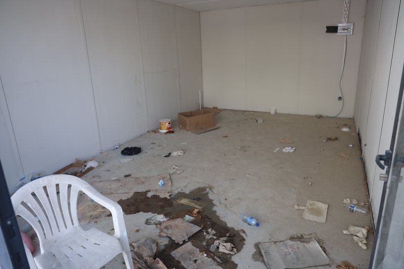 Akılalmaz olay: İş yerinin kapısını açıp kedileri köpeklere parçalattı